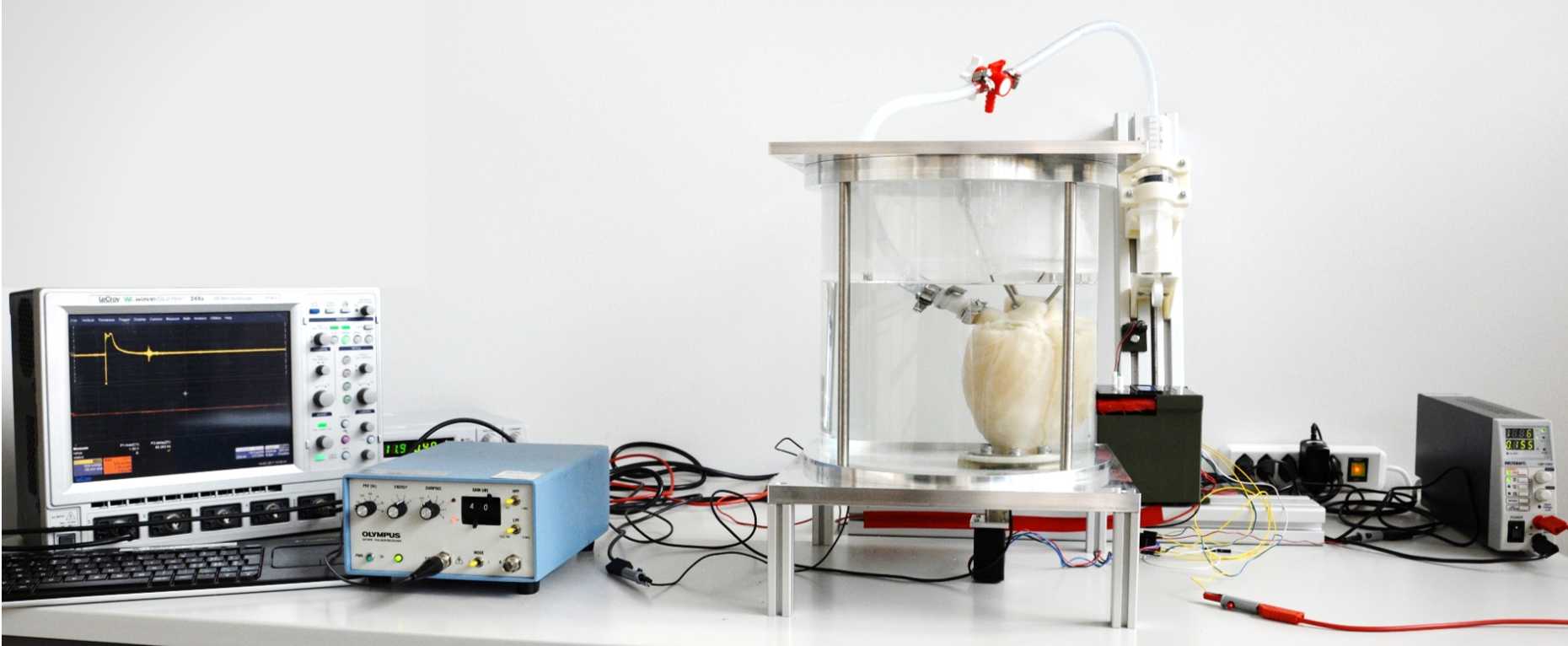 Ultrasound testbench with patient specific heart models